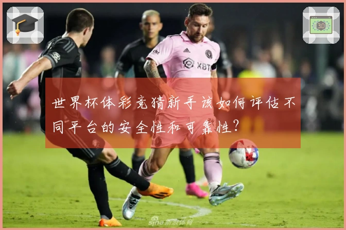 世界杯体彩竞猜新手该如何评估不同平台的安全性和可靠性？