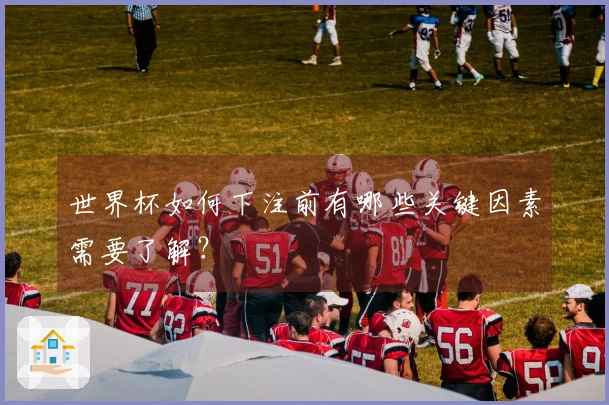 世界杯如何下注前有哪些关键因素需要了解？