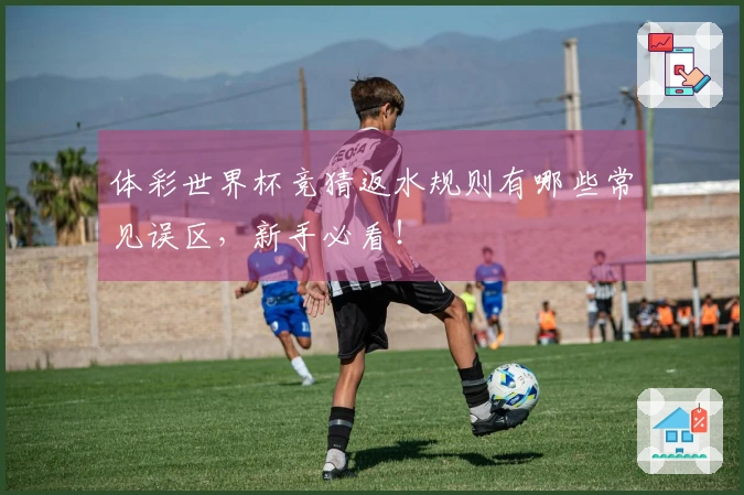 体彩世界杯竞猜返水规则有哪些常见误区，新手必看！