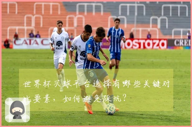 世界杯买球平台选择有哪些关键对比要素,如何避免踩坑?