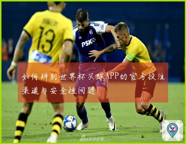 如何辨别世界杯买球APP的官方投注渠道与安全性问题