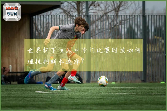 世界杯下注入口冷门比赛时该如何理性判断和选择？