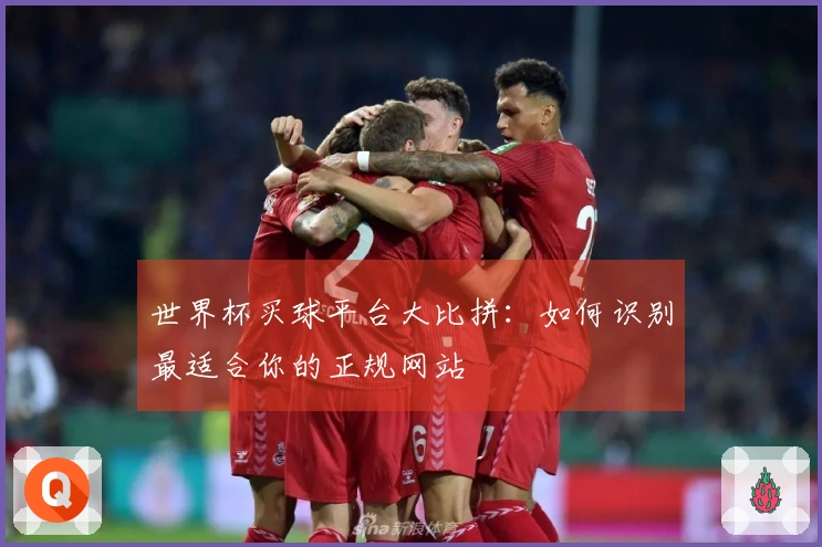 世界杯买球平台大比拼：如何识别最适合你的正规网站