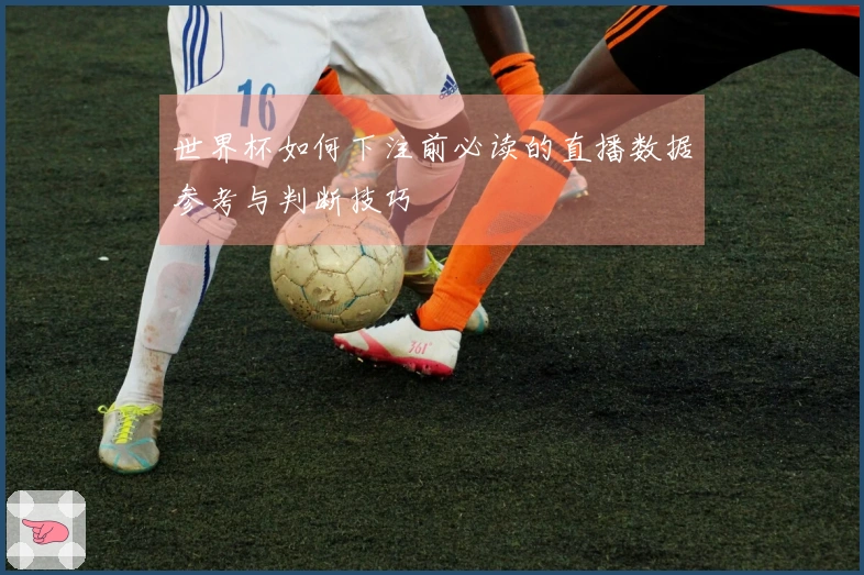 世界杯如何下注前必读的直播数据参考与判断技巧