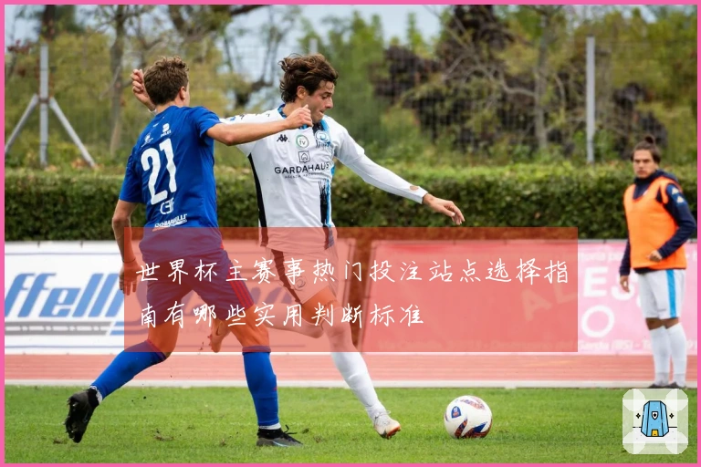 世界杯主赛事热门投注站点选择指南有哪些实用判断标准