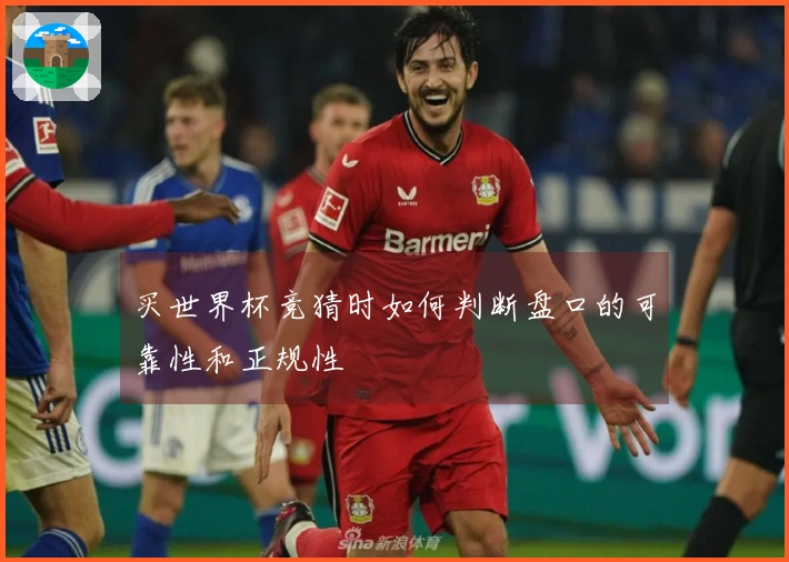 买世界杯竞猜时如何判断盘口的可靠性和正规性