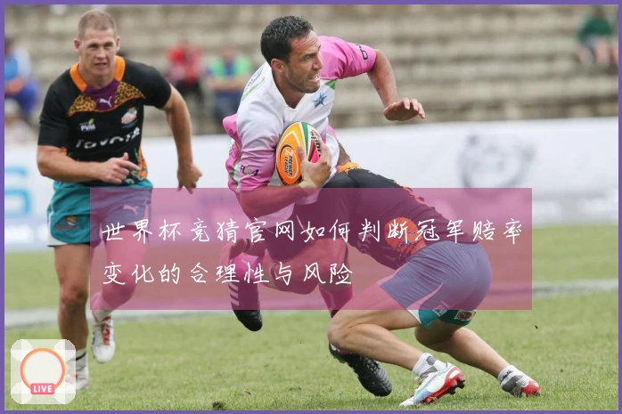世界杯竞猜官网如何判断冠军赔率变化的合理性与风险