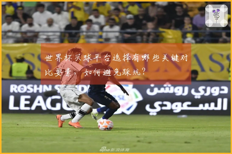 世界杯买球平台选择有哪些关键对比要素，如何避免踩坑？