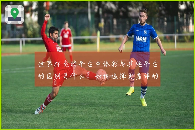 世界杯竞猜平台中体彩与其他平台的区别是什么？如何选择更靠谱的下注方式？