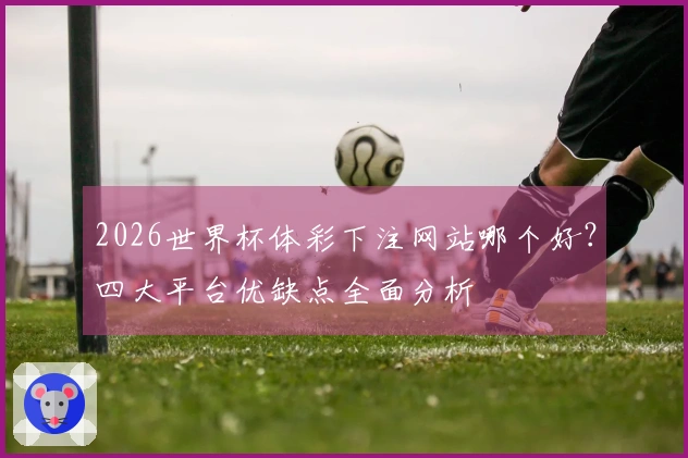 2026世界杯体彩下注网站哪个好？四大平台优缺点全面分析
