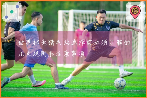 世界杯竞猜网站选择前必须了解的几大规则和注意事项