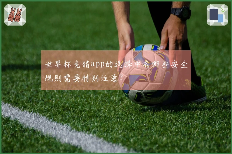 世界杯竞猜app的选择中有哪些安全规则需要特别注意？
