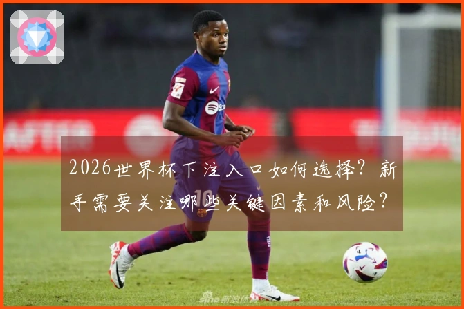 2026世界杯下注入口如何选择？新手需要关注哪些关键因素和风险？