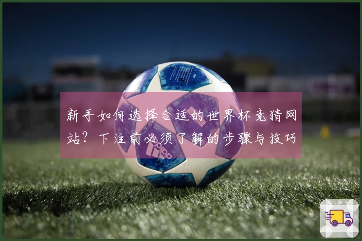 新手如何选择合适的世界杯竞猜网站？下注前必须了解的步骤与技巧