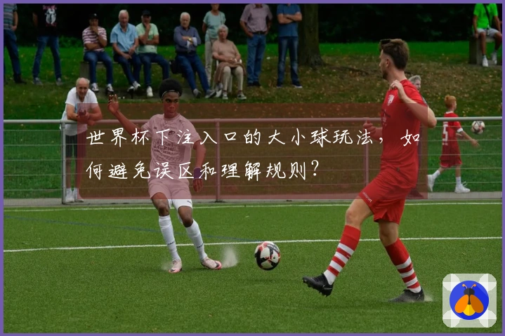 世界杯下注入口的大小球玩法，如何避免误区和理解规则？