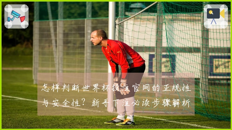 怎样判断世界杯投注官网的正规性与安全性？新手下注必读步骤解析