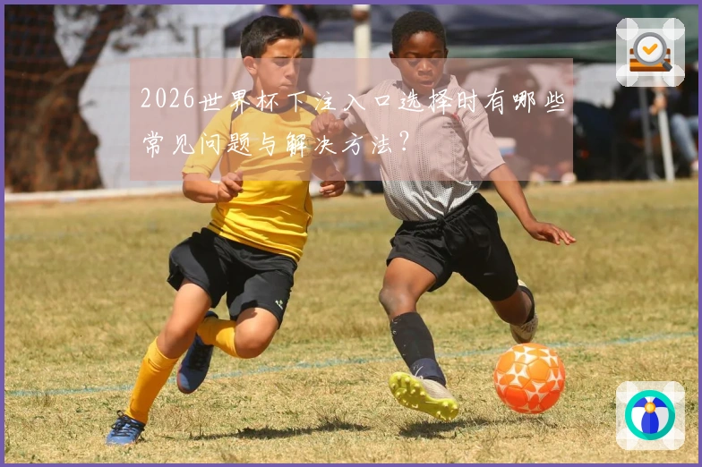 2026世界杯下注入口选择时有哪些常见问题与解决方法？