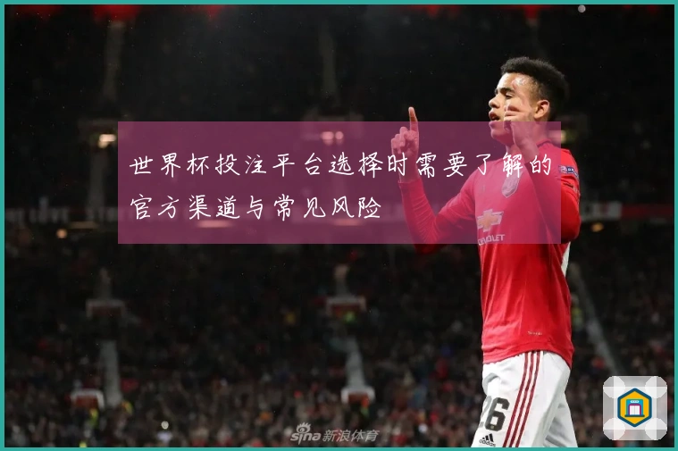 世界杯投注平台选择时需要了解的官方渠道与常见风险