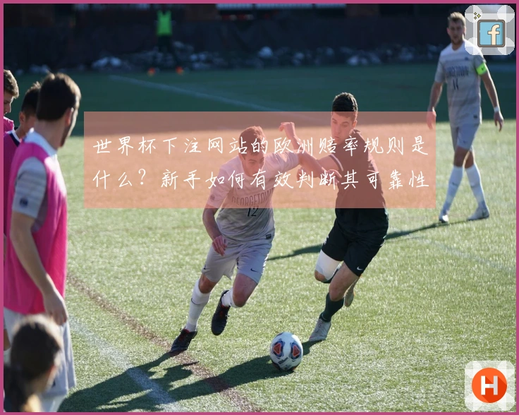 世界杯下注网站的欧洲赔率规则是什么？新手如何有效判断其可靠性