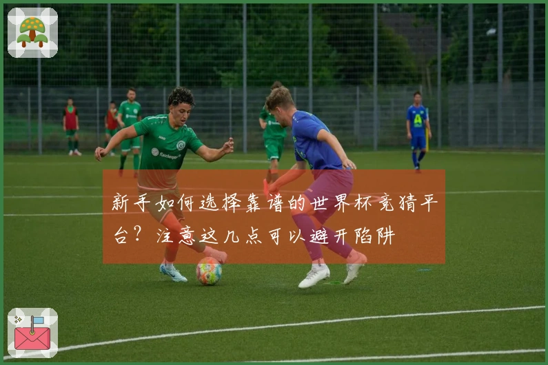 新手如何选择靠谱的世界杯竞猜平台？注意这几点可以避开陷阱