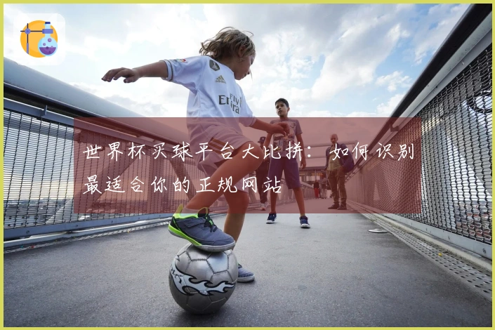 世界杯买球平台大比拼：如何识别最适合你的正规网站