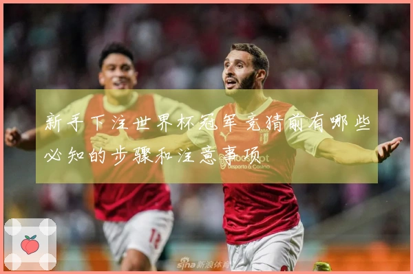 新手下注世界杯冠军竞猜前有哪些必知的步骤和注意事项
