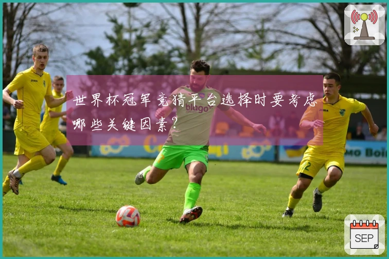 世界杯冠军竞猜平台选择时要考虑哪些关键因素？