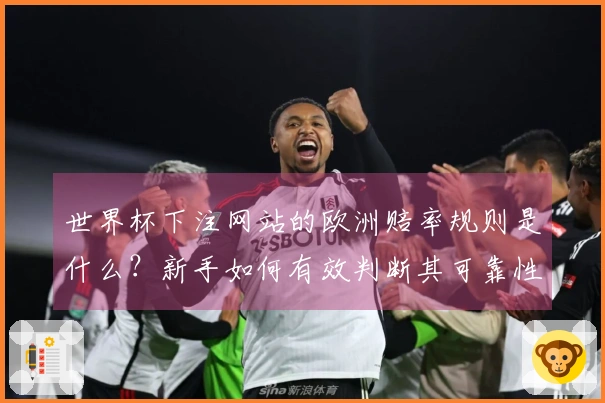 世界杯下注网站的欧洲赔率规则是什么？新手如何有效判断其可靠性