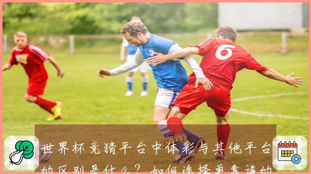 世界杯竞猜平台中体彩与其他平台的区别是什么？如何选择更靠谱的下注方式？