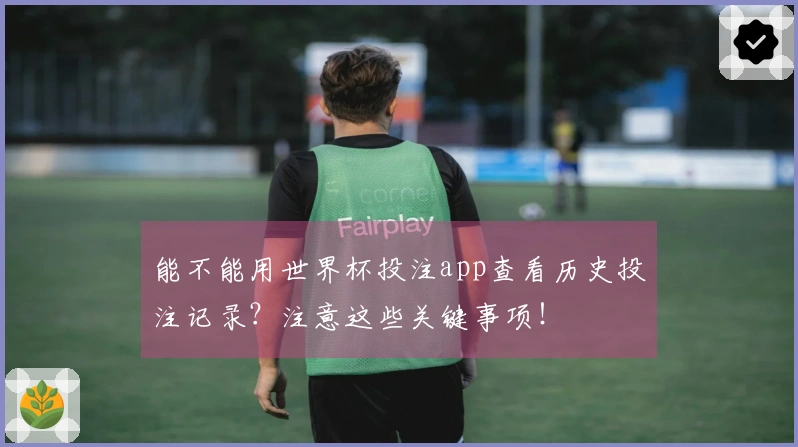 能不能用世界杯投注app查看历史投注记录？注意这些关键事项！