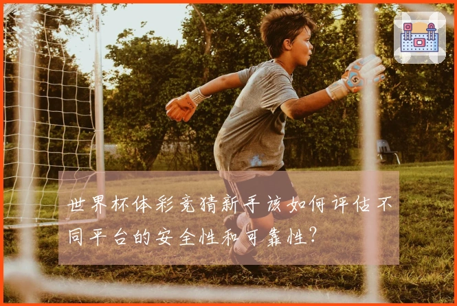 世界杯体彩竞猜新手该如何评估不同平台的安全性和可靠性？